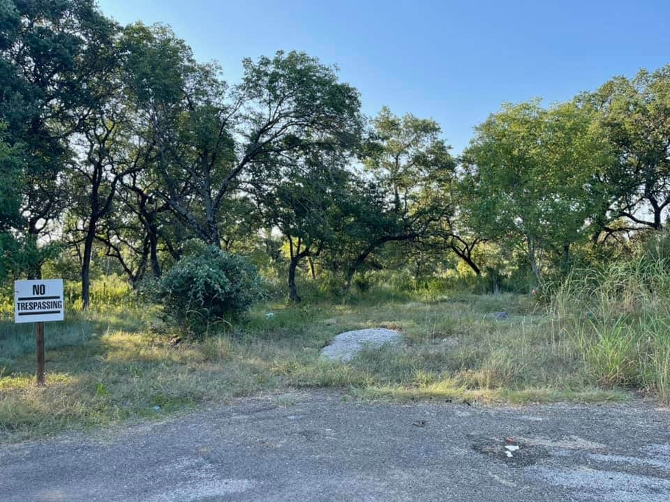 Rural roadside landscape, green trees, "No Trespassing" sign, overgrown grass.